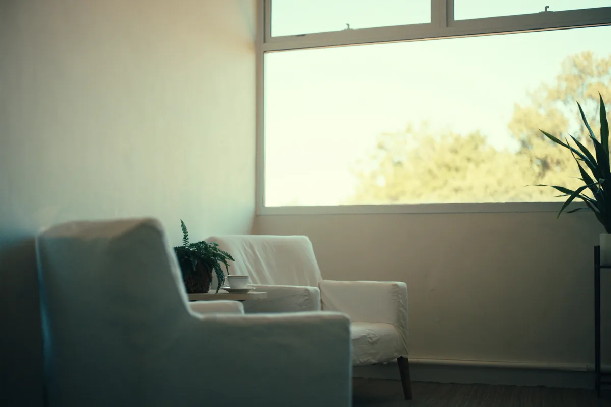 Two armchairs by a bright window
